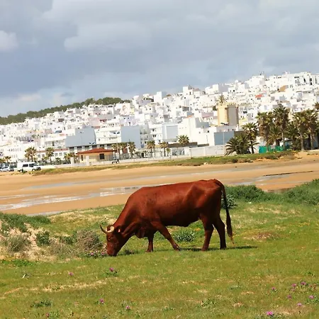 Centro Tonelero Ii קוניל דה לה פרונטרה