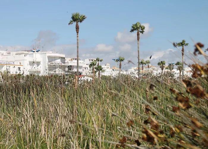 Daire Centro Tonelero Ii *