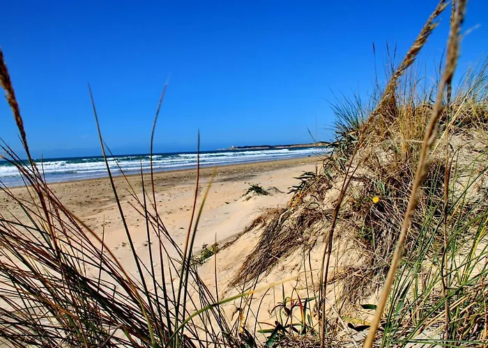 Daire Centro Tonelero Ii