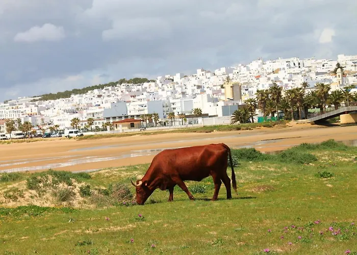 Centro Tonelero Ii Conil De La Frontera
